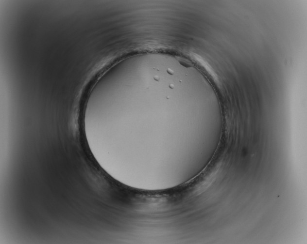 X0000091590443200709171137