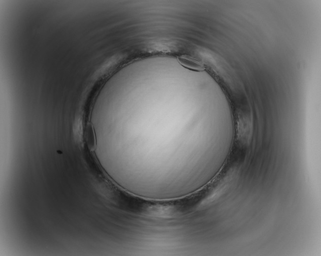 X0000091590444200709171137