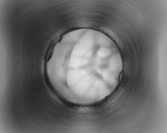 X0000091590445200709171137