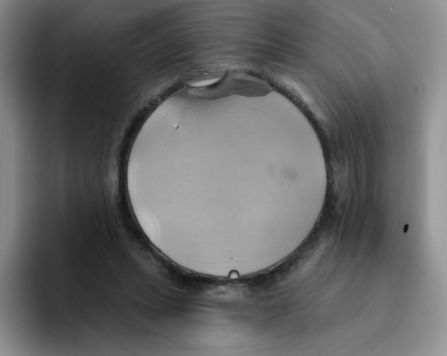 X0000091590447200709171137