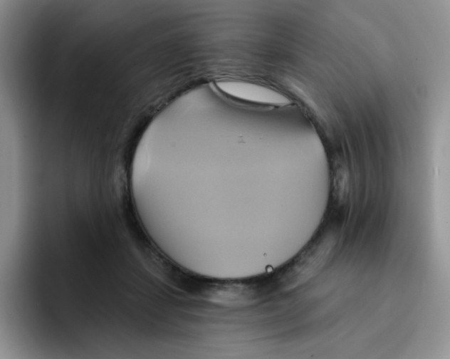 X0000091590459200709171137