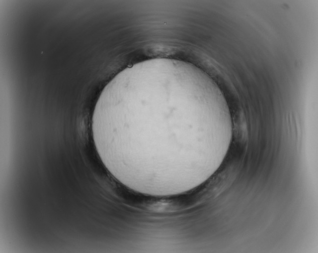 X0000091590460200709171137