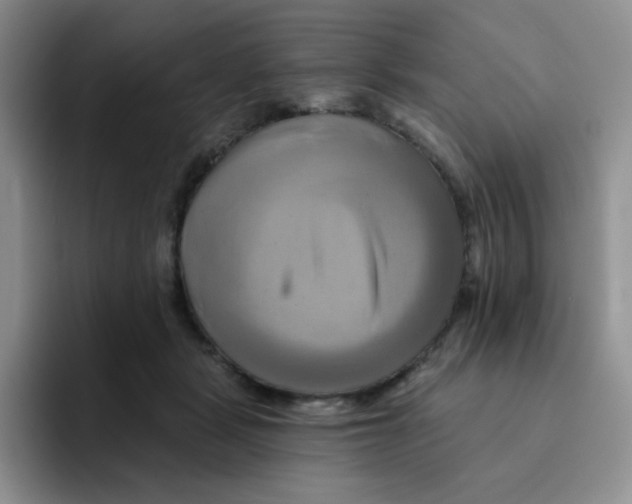 X0000091590461200709171137