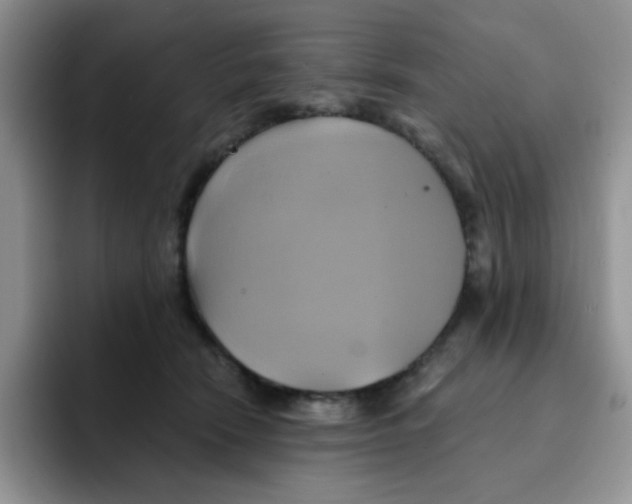 X0000091590466200709171137