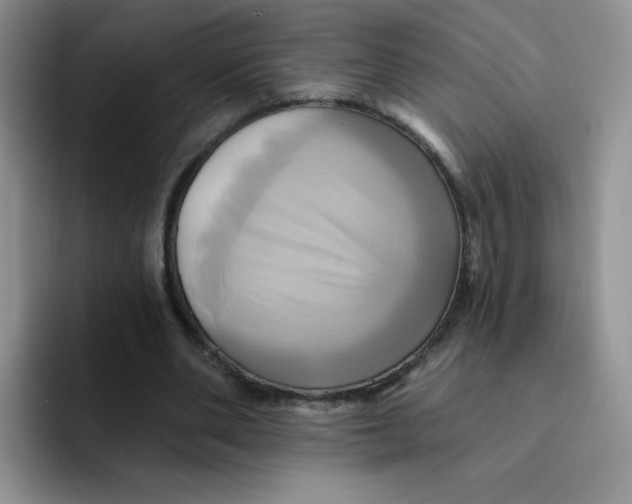 X0000091590486200709171137