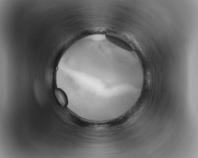 X0000091590495200709171137