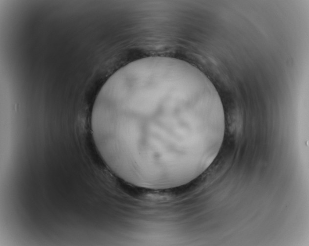 X0000091590515200709171136