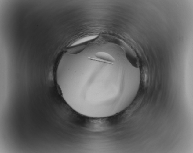 X0000091590516200709171136