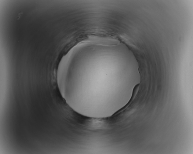 X0000091590528200709171136