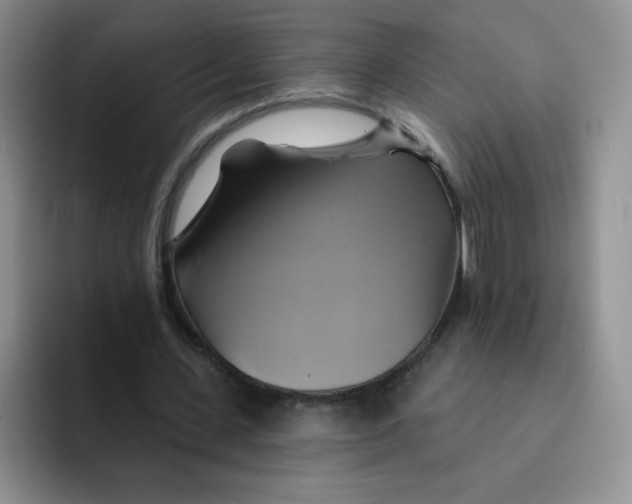 X0000091590531200709171136