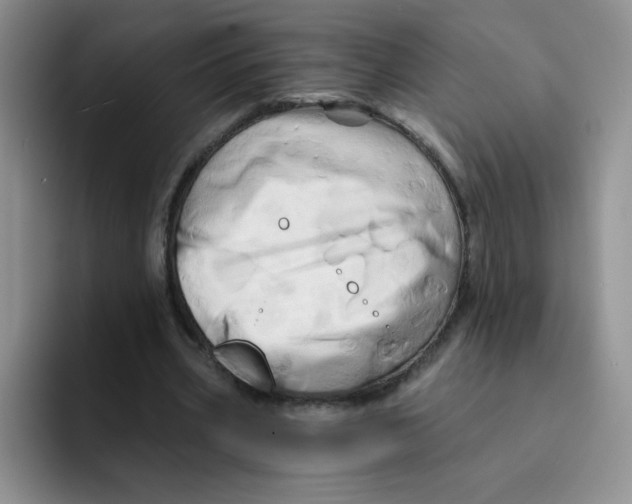 X0000091590533200709171136