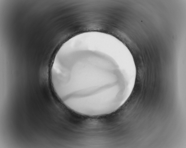 X0000091590534200709171136