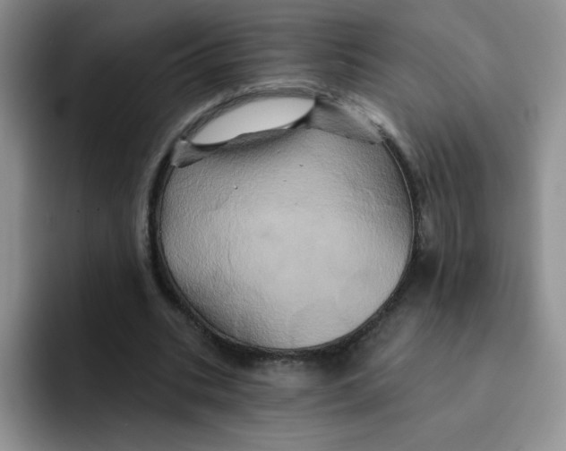 X0000091590535200709171136