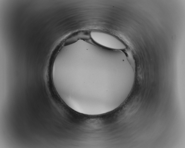 X0000091590536200709171136