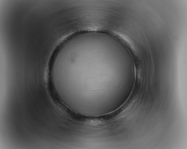 X0000091590540200709171136