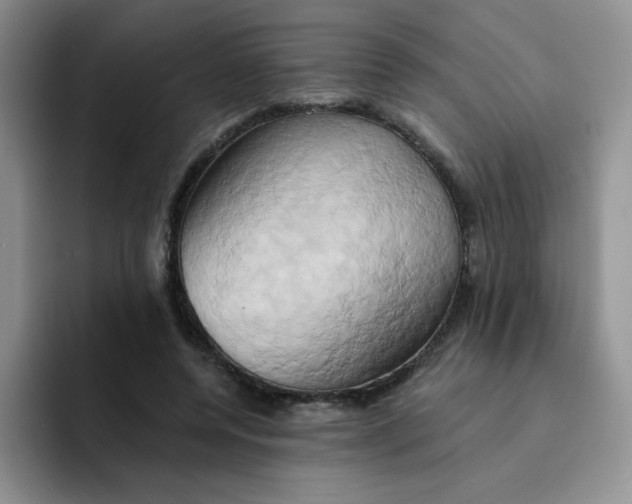 X0000091590544200709171136