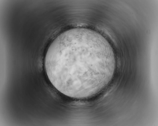 X0000091590545200709171136