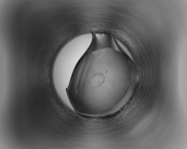 X0000091590546200709171136