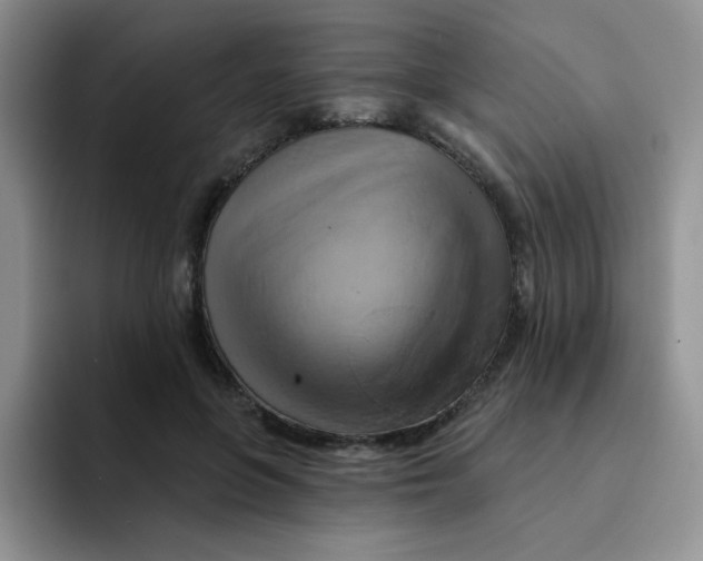 X0000091590551200709171136