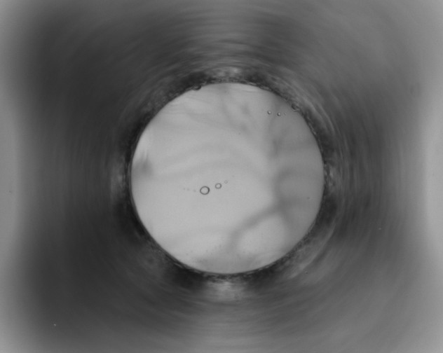 X0000091590561200709171136