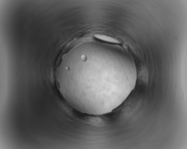 X0000091590572200709171136