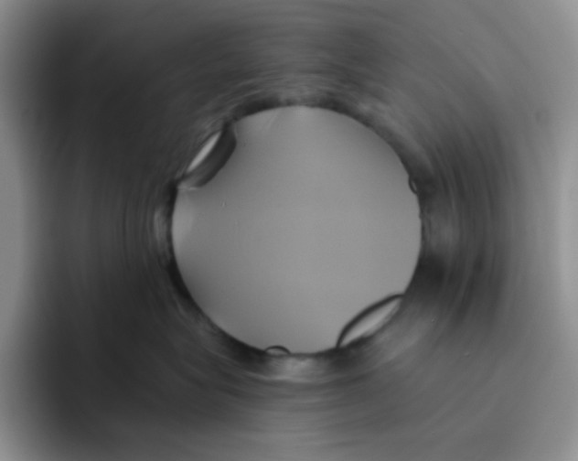 X0000091590575200709171136