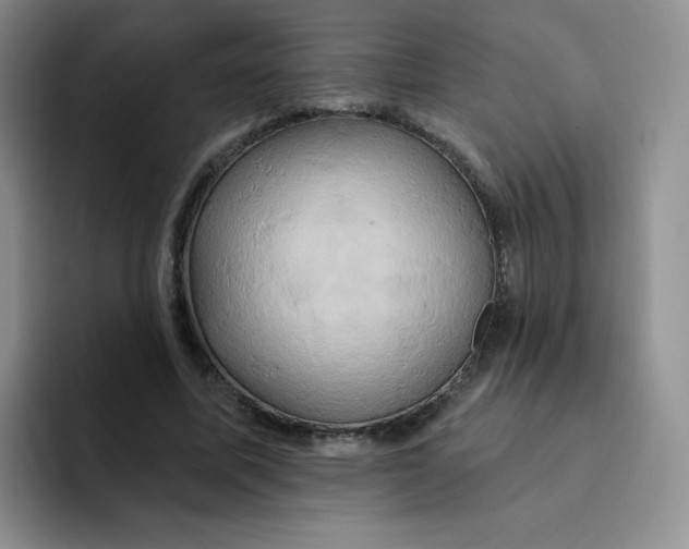 X0000091590587200709171136