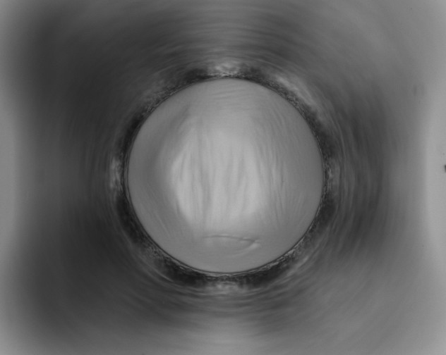 X0000091590598200709171135