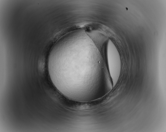 X0000091590600200709171135