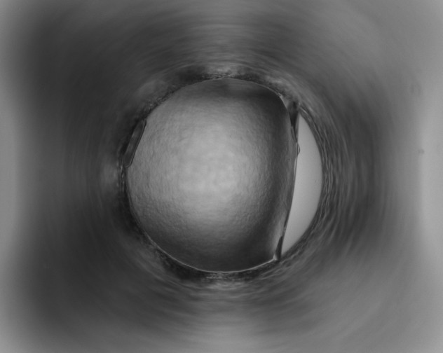 X0000091590601200709171135