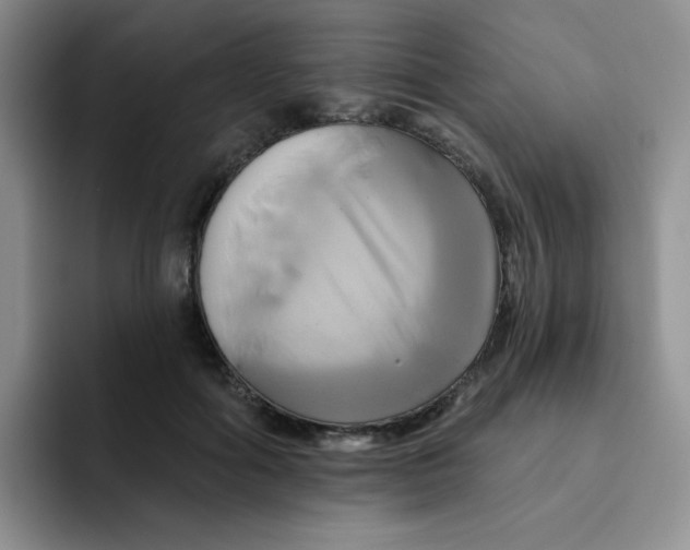 X0000091590602200709171135