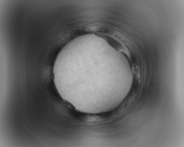 X0000091590605200709171135