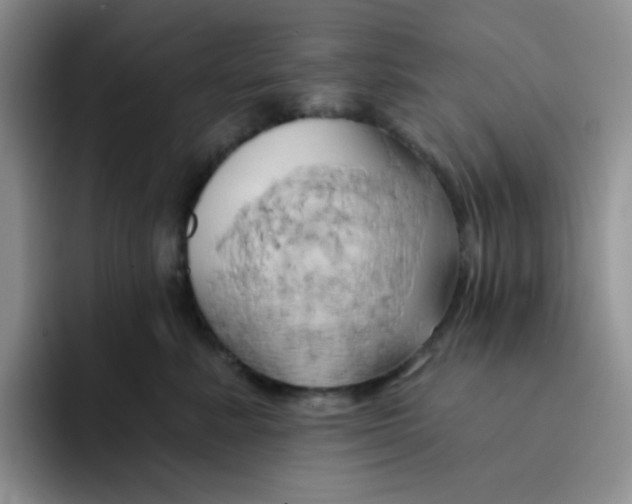 X0000091590619200709171135