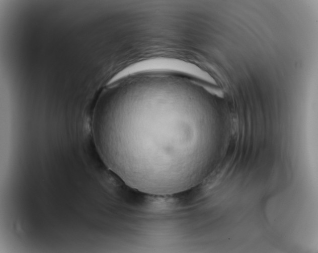 X0000091590621200709171135