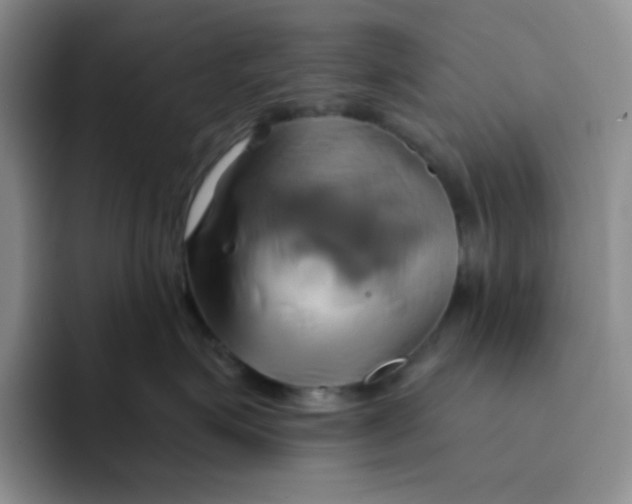 X0000091590623200709171135