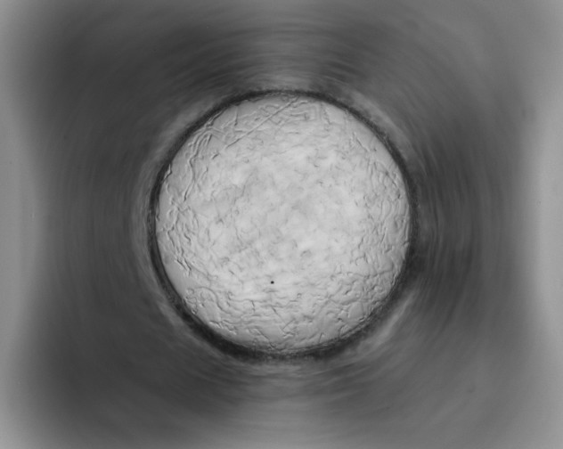 X0000091590625200709171135