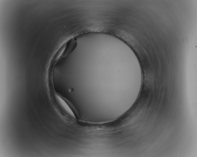 X0000091590626200709171135