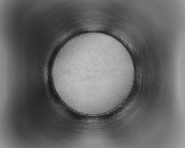 X0000091590631200709171135