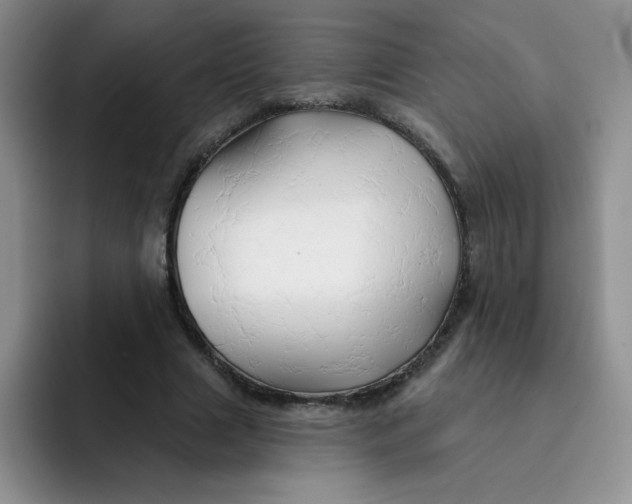 X0000091590633200709171135