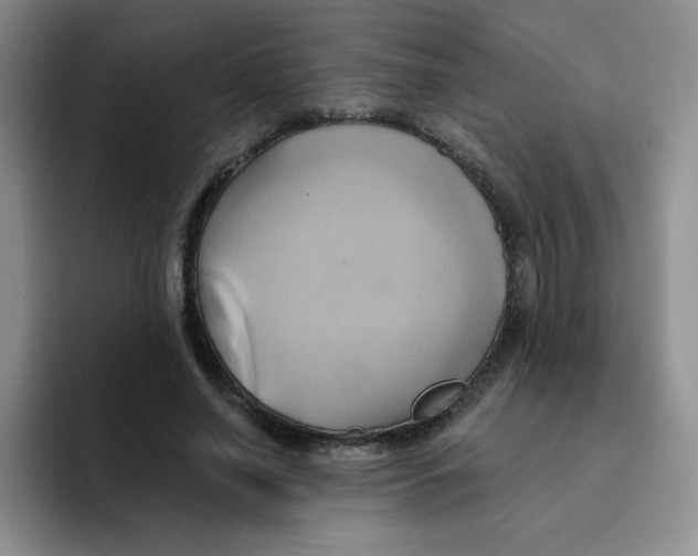 X0000091590638200709171135