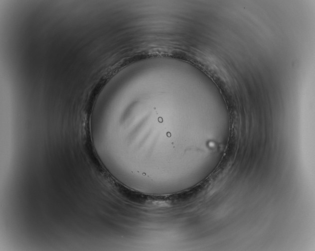 X0000091590649200709171135