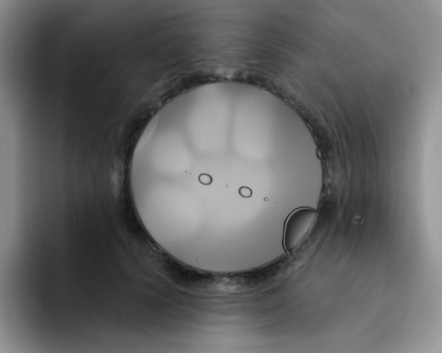 X0000091590656200709171135