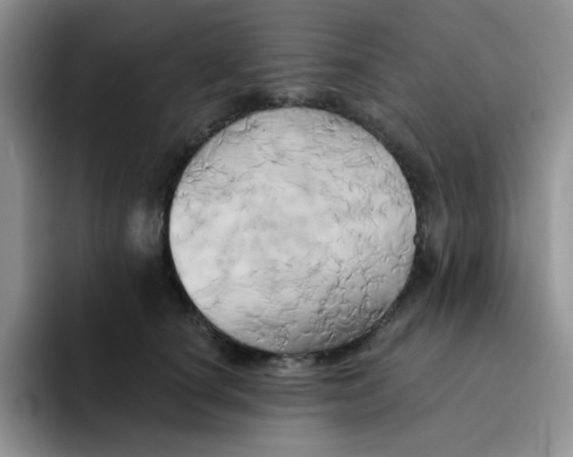 X0000091590660200709171135