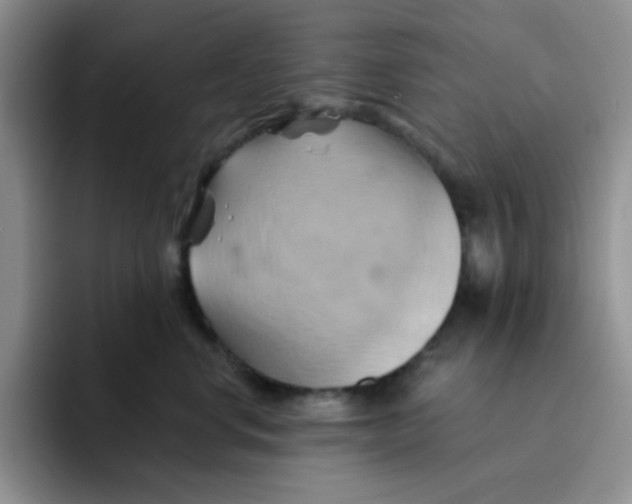 X0000091590668200709171135