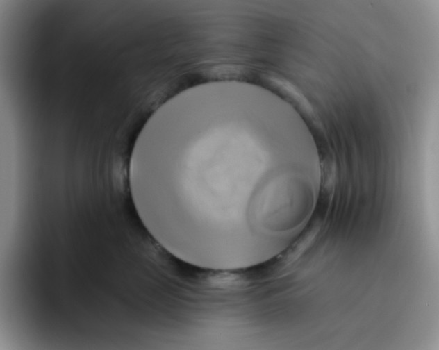 X0000091590669200709171135