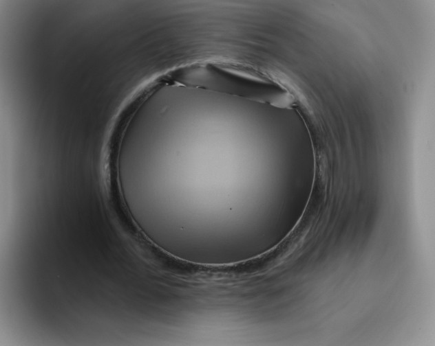 X0000091590676200709171135