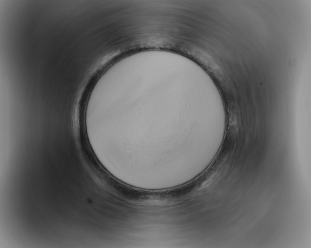 X0000091590678200709171135