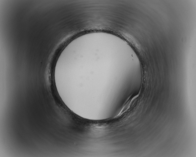 X0000091590680200709171135