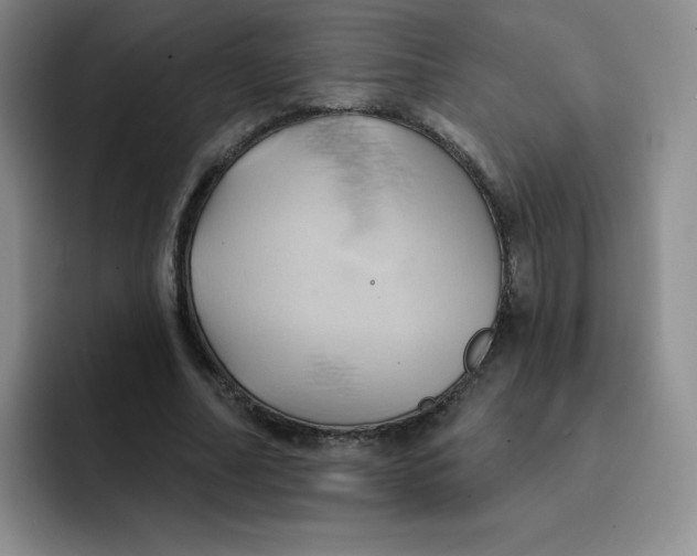 X0000091590682200709171134