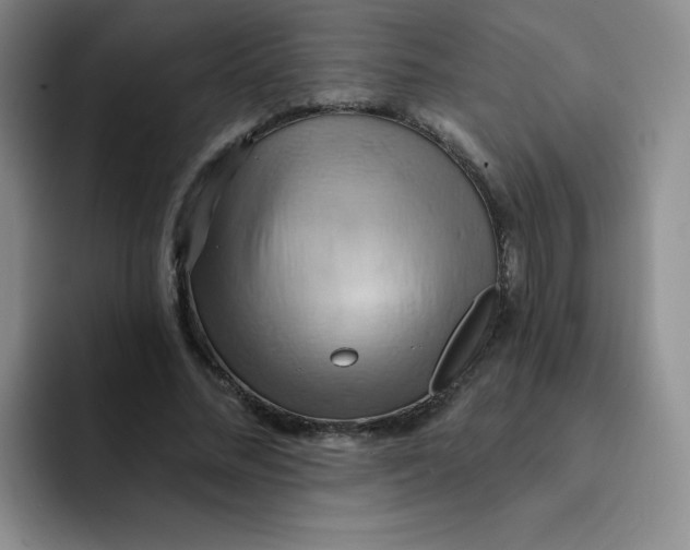 X0000091590684200709171134